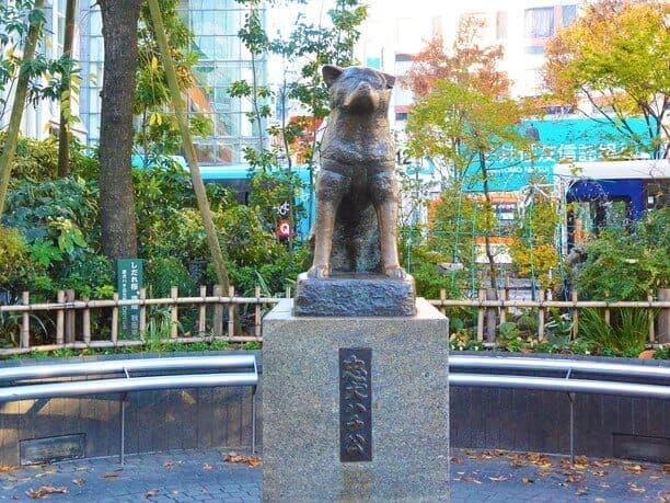 ハチ公前