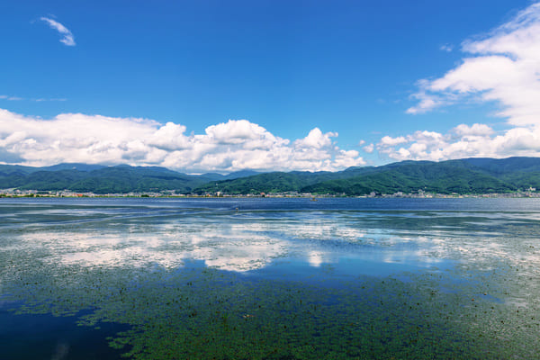 諏訪湖の風景