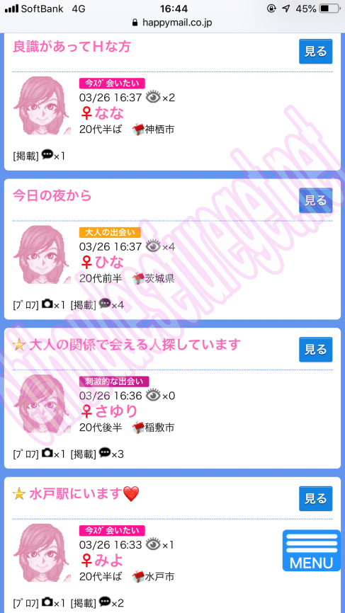 茨城ハッピーメール1