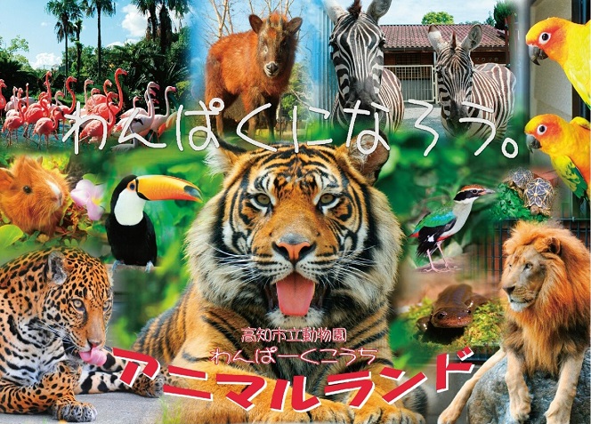 わんぱーくこうち